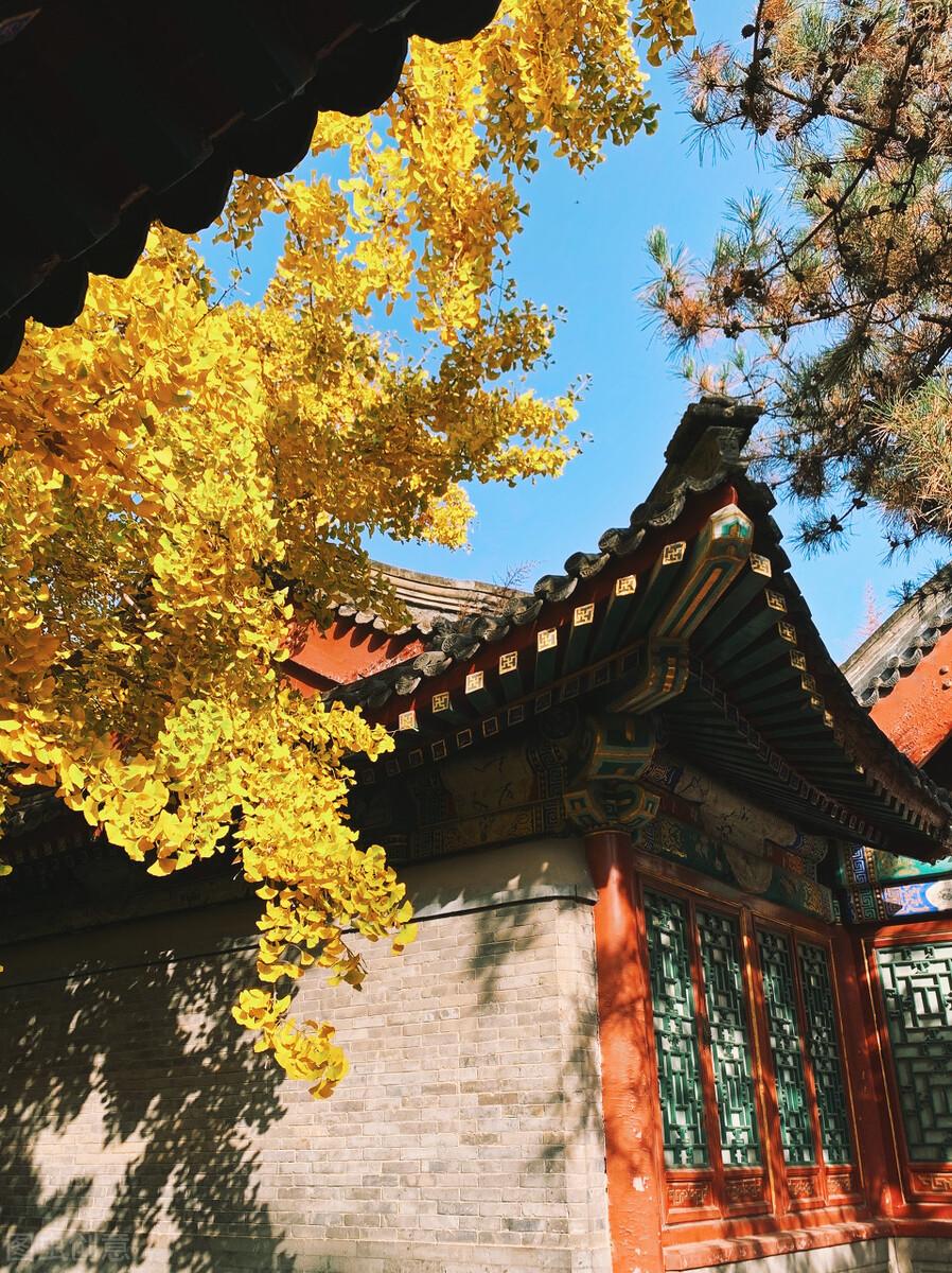 匾額的讀音_匾額和牌匾的區(qū)別_家慶匾額