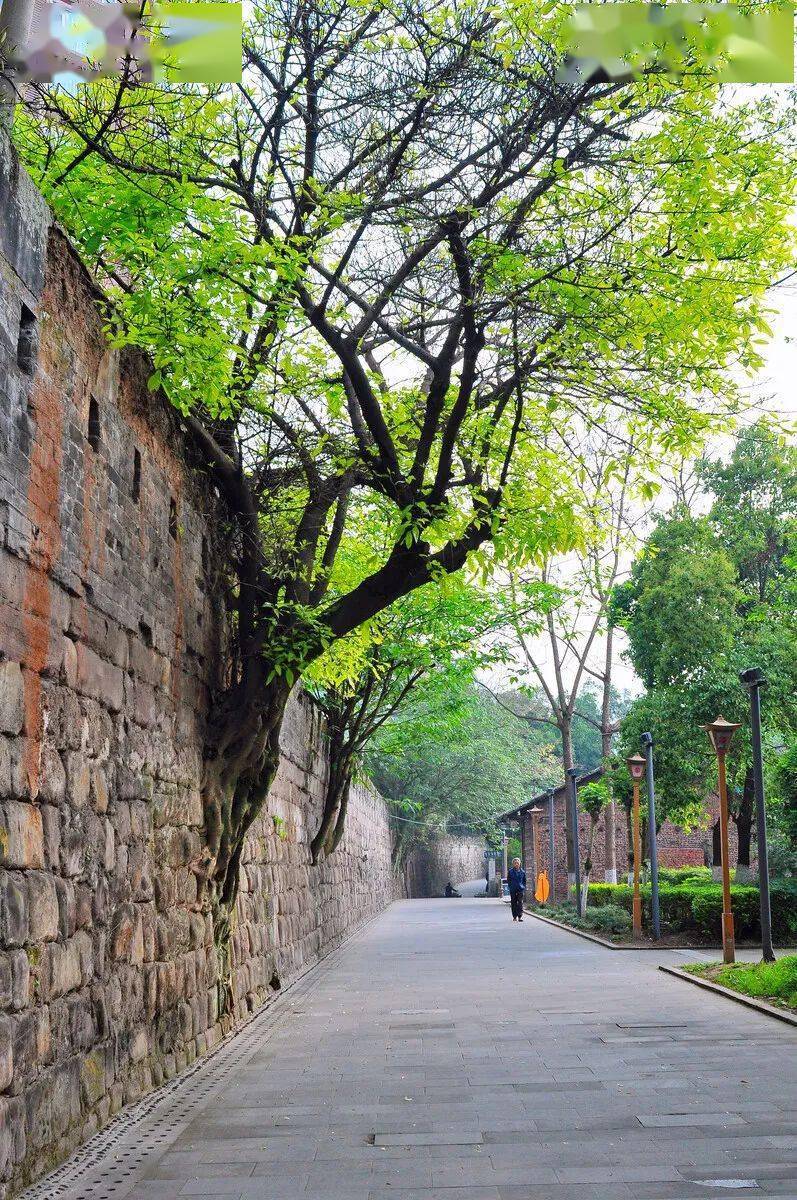 南山木棧道_南山寺牌匾_南山木匾