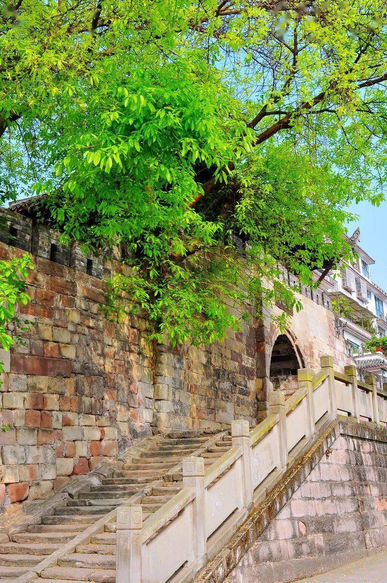 南山木匾_南山木棧道_南山寺牌匾