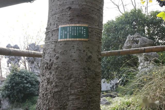 天下第一關(guān)匾額朝_太和殿匾額對聯(lián)_文征明匾額
