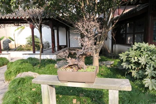 文征明匾額_太和殿匾額對聯(lián)_天下第一關(guān)匾額朝
