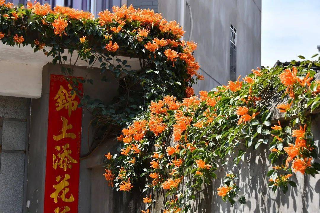 青石牌匾圖片大全_青石牌匾_青石匾額