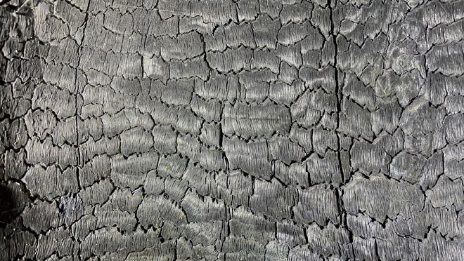 金絲楠木書桌_金絲楠木桌子_3億元金絲楠木桌子