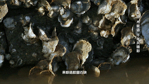 泉州木雕工藝品市場在哪里_福建泉州木雕工藝城_泉州木雕工藝品市場